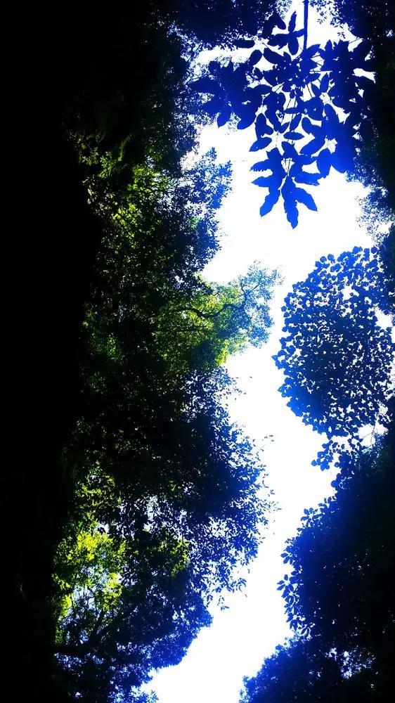 拯救红松鼠
